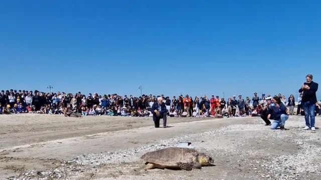 Giornata del Mare e della Cultura Marinara 2025