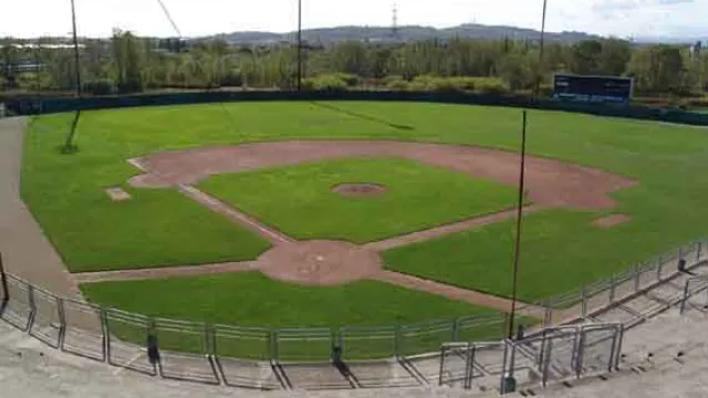stadio_baseball_interno.1145007725.jpg