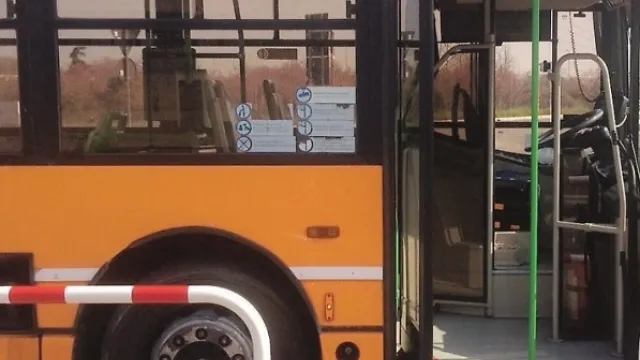 bus_0.jpg