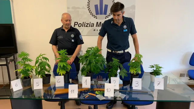 pm_sequestro_droga_.jpeg